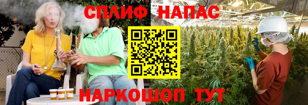 Конопля индика  Вход с VPN  Марихуана MAZAR  Кострома  Каннабис сатива 